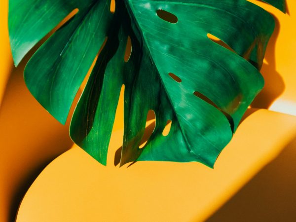 kobu-agency-oiZLNpNIYEE-unsplash