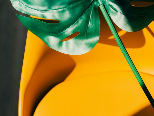 kobu-agency-zGOD41xSmaE-unsplash